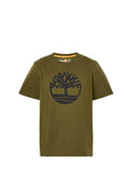 TIMBERLAND T-Shirt Uomo - Verde